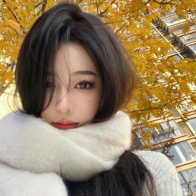 魔弹之王与战姬