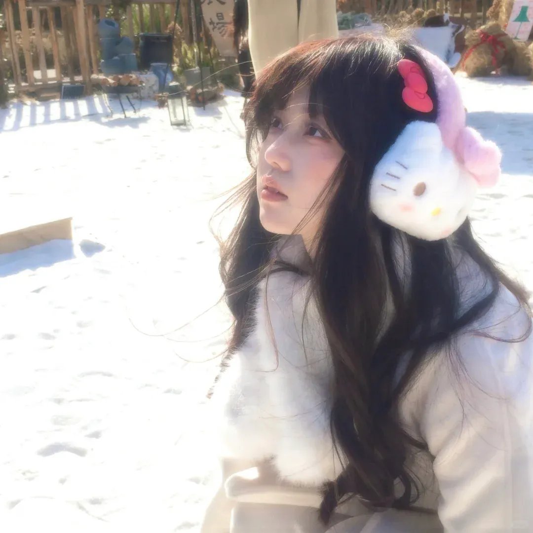 企鹅之岛：福克兰